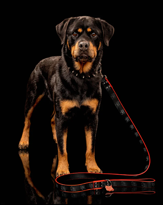 Featured image for Auto-prepared featured image